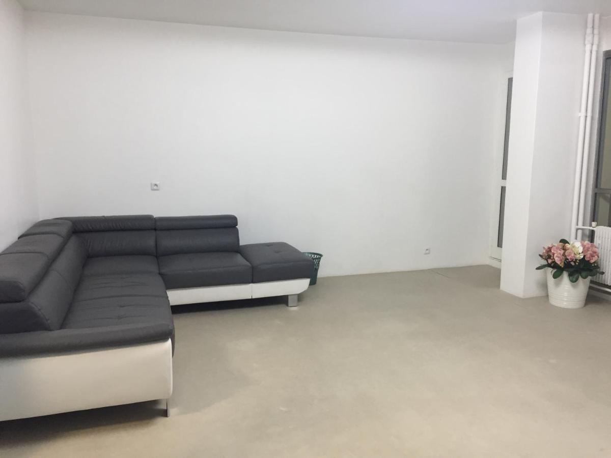 Apartement 1 Room- Centre Mulhouse - Appartement 1 Chambre مُلووز المظهر الخارجي الصورة